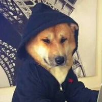 Buddy(Hacker)