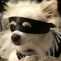 boo(Thief)