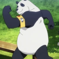 panda