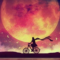 Author (Sky)