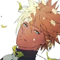 Minato Namikaze Ω