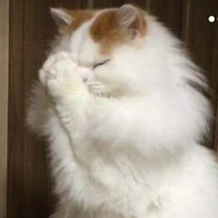 แอด