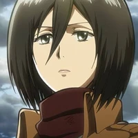 Mikasa ackerman