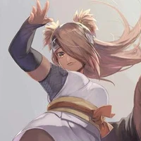 Chocho Akimichi