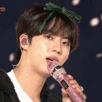 Jin/SJ