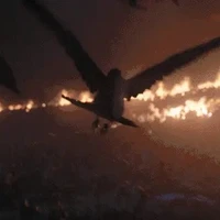 Criadora