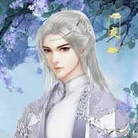 Shan Ding (fl