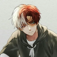 Todoroki shoto (O.D)