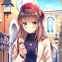 Y/N