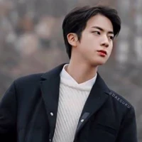 kim seokjin(jinnie)