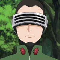 Shino