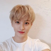 Jung Mark