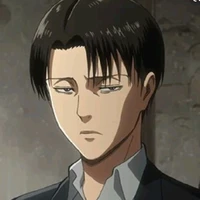 levi