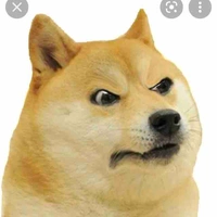 Mr Doge