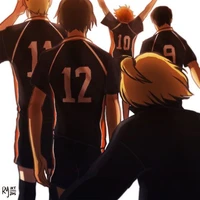 Karasuno Team