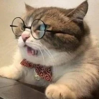 เหมียวคุง