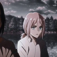 Krista/Historia