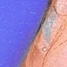 ¿¿¿