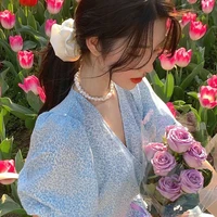 เฟรีน : พี่พระเอก