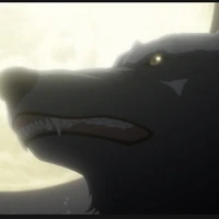 หัวหน้าหมาป่า