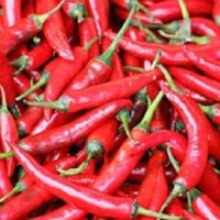 Cabe🌶