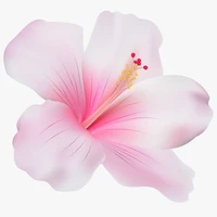 flower c