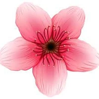 flower d