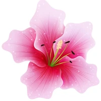 flower b