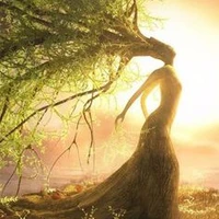 tree fairy mo