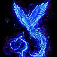 Phoenix Biru (Blue)