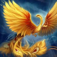 Phoenix Orange (Oranye)
