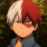 Todoroki