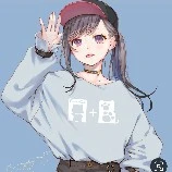 Y/N