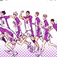 ทีม โทริซาวะ