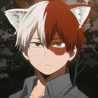 Todoroki
