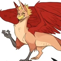 Hawks