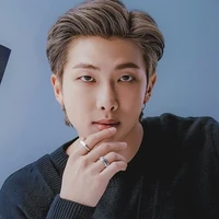 Namjoon/🐨