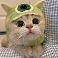 นักเขียน