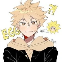shoyo