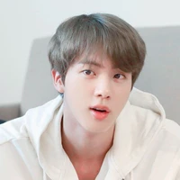 kim seokjin/jinnie