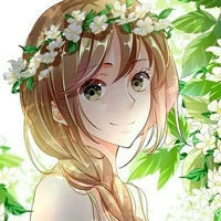 Y/n