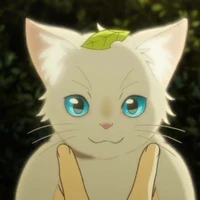 Gato branco
