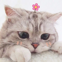 แอดเองจ้า💙😊