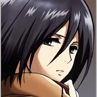 mikasa