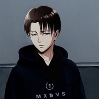 Captain Levi