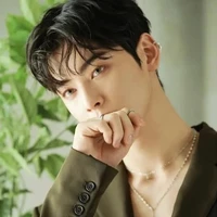 Cha eun woo