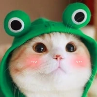 แมวเหมียว[แอดเอง]