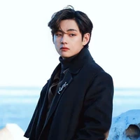 kim Taehyung (alexsandra)