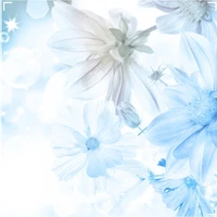 พระเจ้า(ยังคงเป็นดอกไม้~~~)