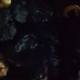 Unkown